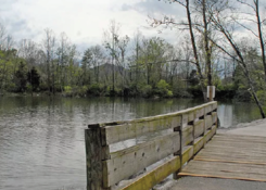 1115 N. Main Ave.: Erwin, TN